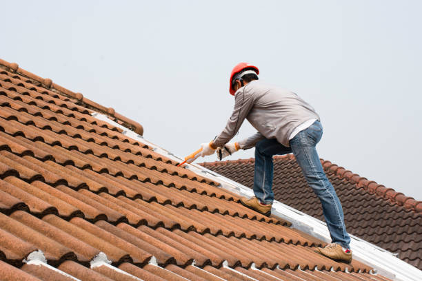 Best Storm Damage Roof Repair  in Mount Morris, MI